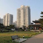 이재룡 유호정 부부 청담동 리유빌딩 입지 성공 비결 청담근린공원과 주변 고급 주거지 건물들