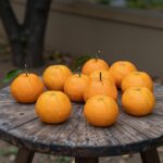 청견오렌지의 모든 것 효능과 맛있는 선택법 나무 테이블 위에 놓인 싱싱한 청견오렌지 과일