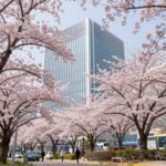 한강진역 블루스퀘어 건물과 분홍색 벚꽃 나무가 조화를 이루는 봄 풍경