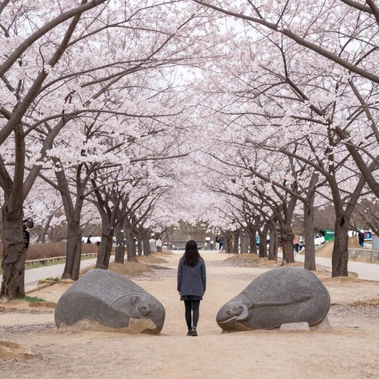 김해 용당나루 매화공원 나는 솔로 촬영지 포토존