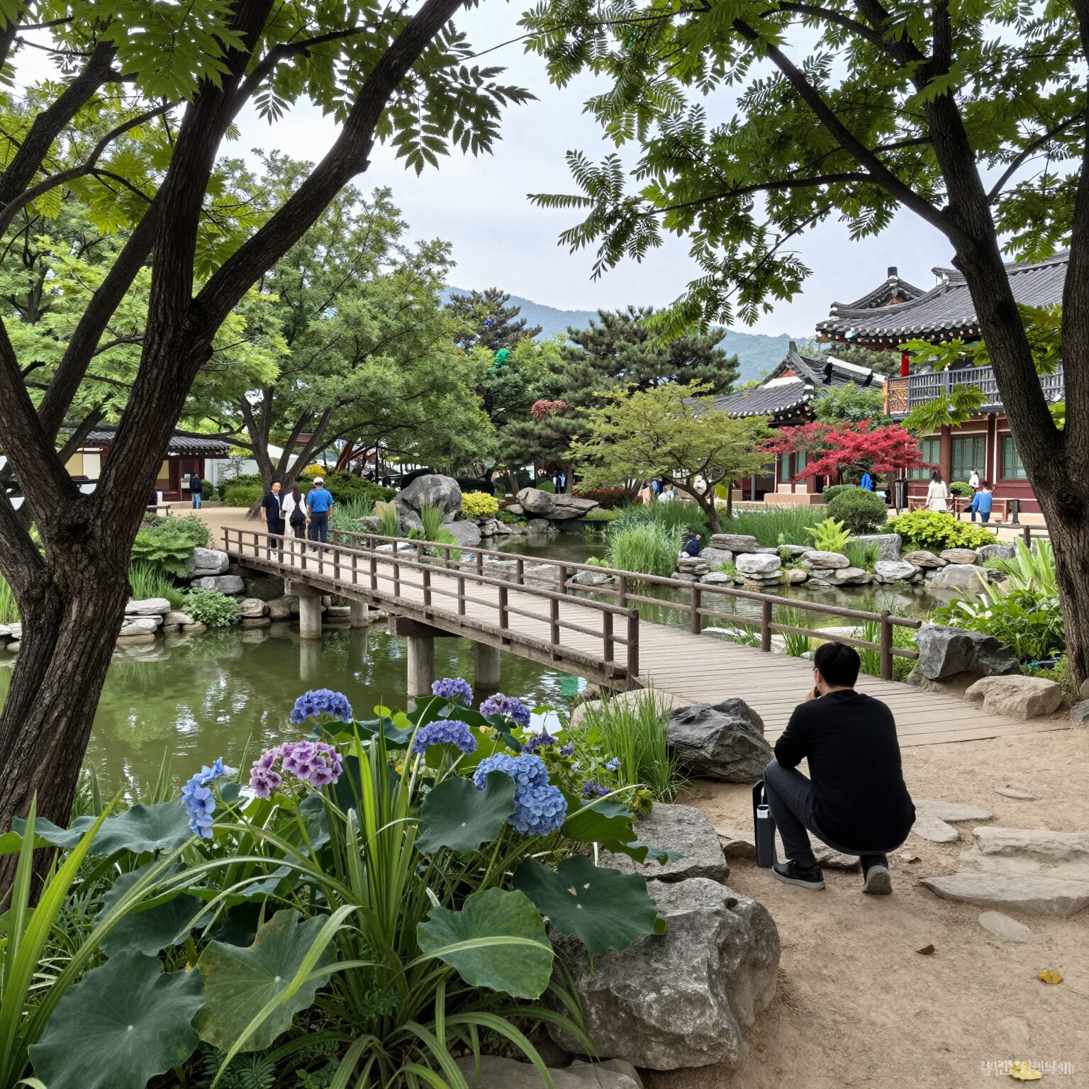 순천 정원박람회 스페이스 브릿지에서 바라본 풍경