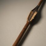 가지에 코르크 날개가 달린 화살나무의 가까운 모습