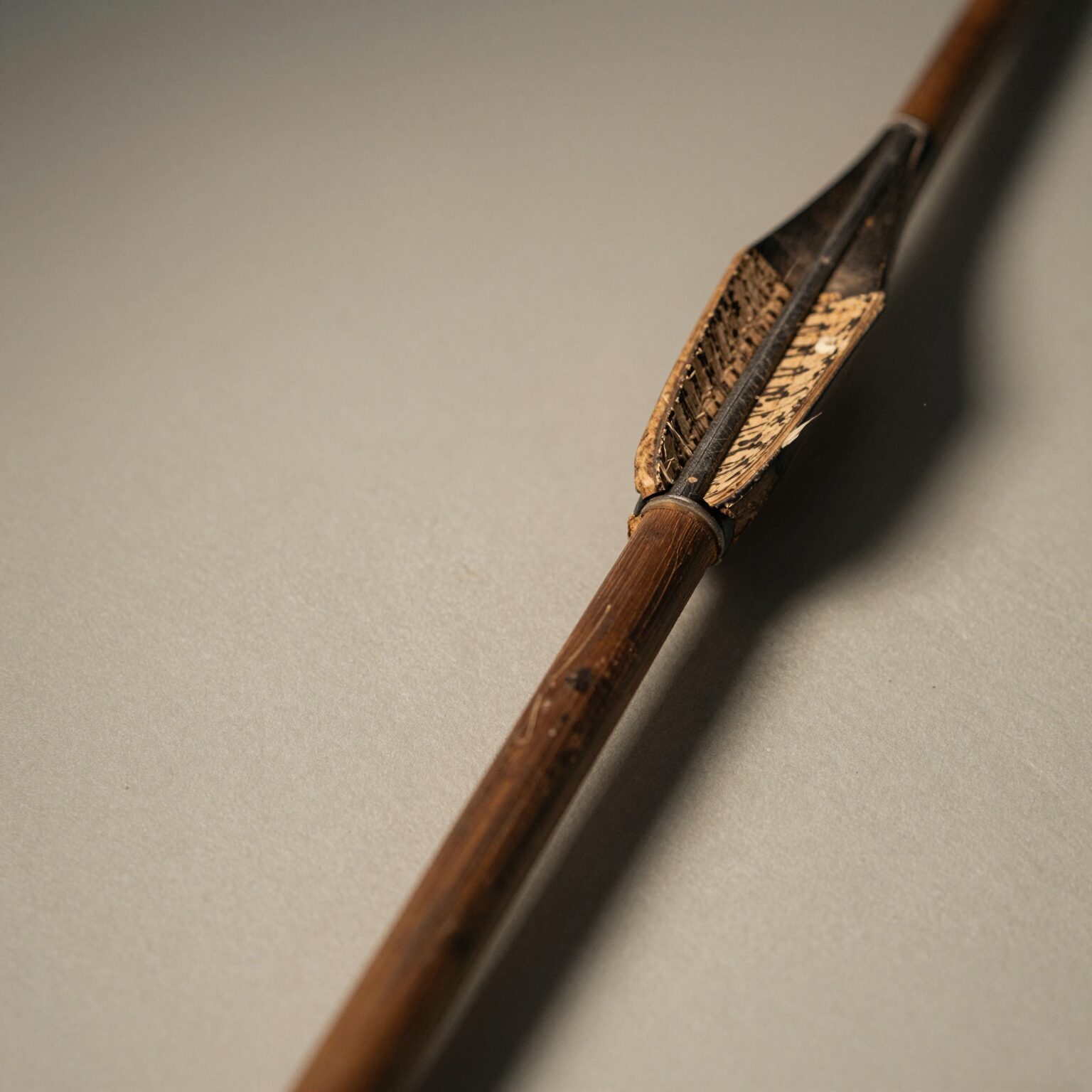 가지에 코르크 날개가 달린 화살나무의 가까운 모습