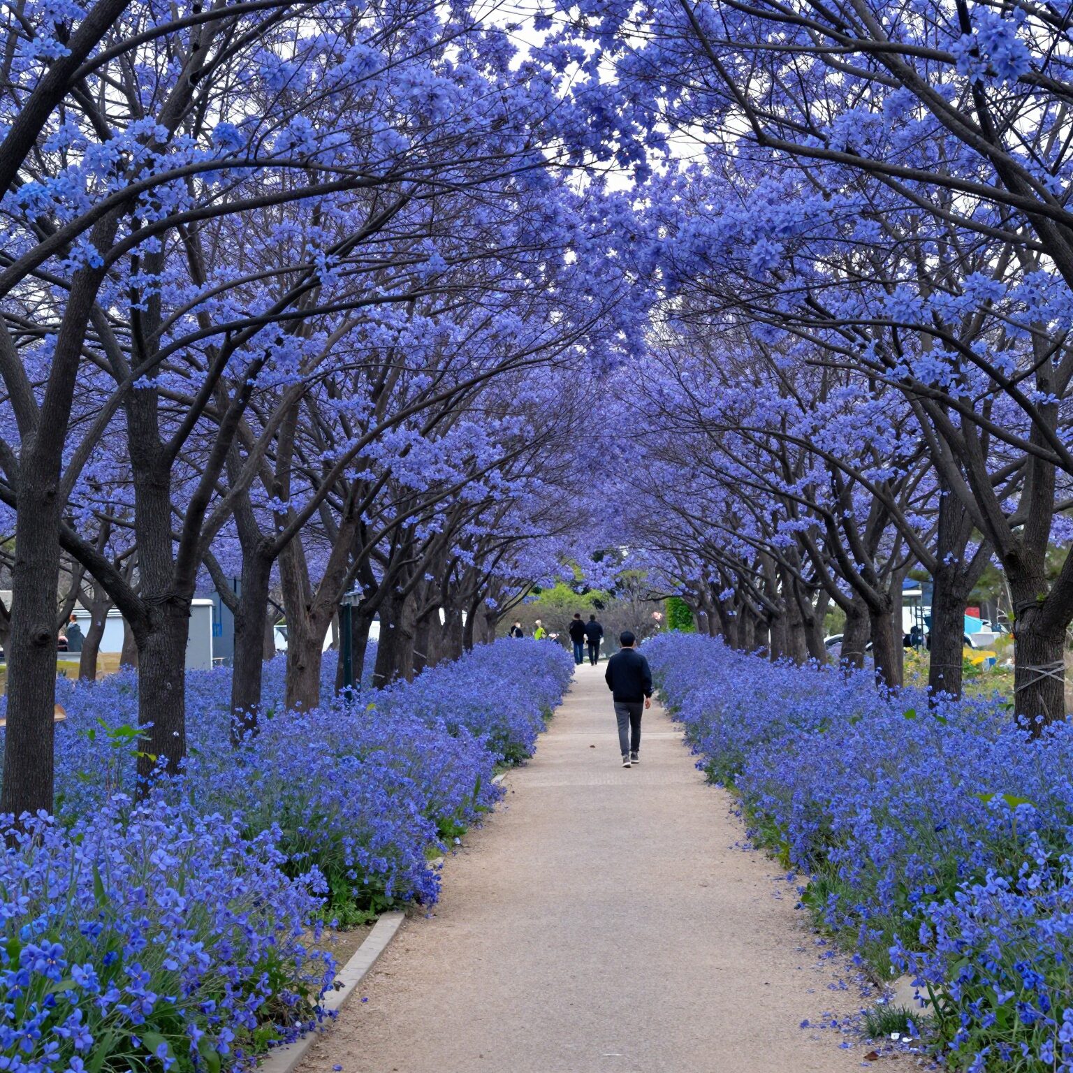 청주 청남대 대청호를 따라 조성된 산책로의 푸른 풍경