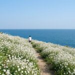 청산도 슬로길에서 바라본 푸른 바다와 유채꽃 밭 풍경