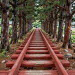 후쿠오카 다자이후 텐만구 입구의 긴 붉은 다리와 오래된 나무들