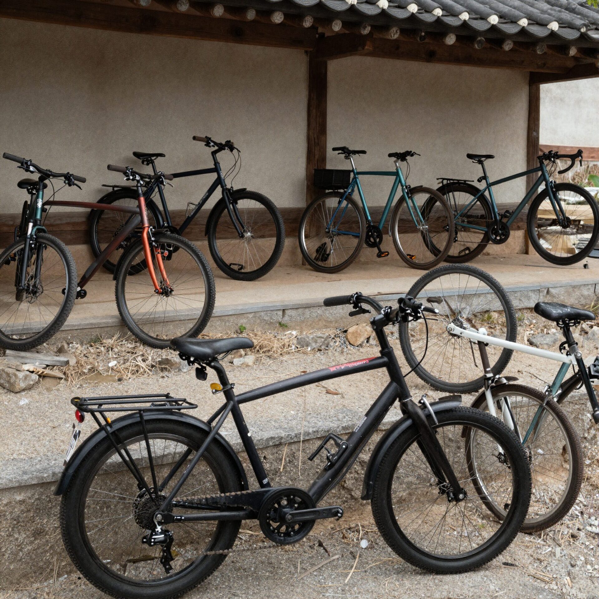 가파도 자전거 대여소 앞에 다양한 자전거가 줄지어 서 있는 모습