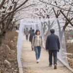 밀레 바람막이 봄 아웃도어 필수 아이템 밀레 바람막이를 입고 봄 산책을 즐기는 모습