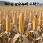 옥수수 한살이 발아부터 수확까지 단계별 성장 모습