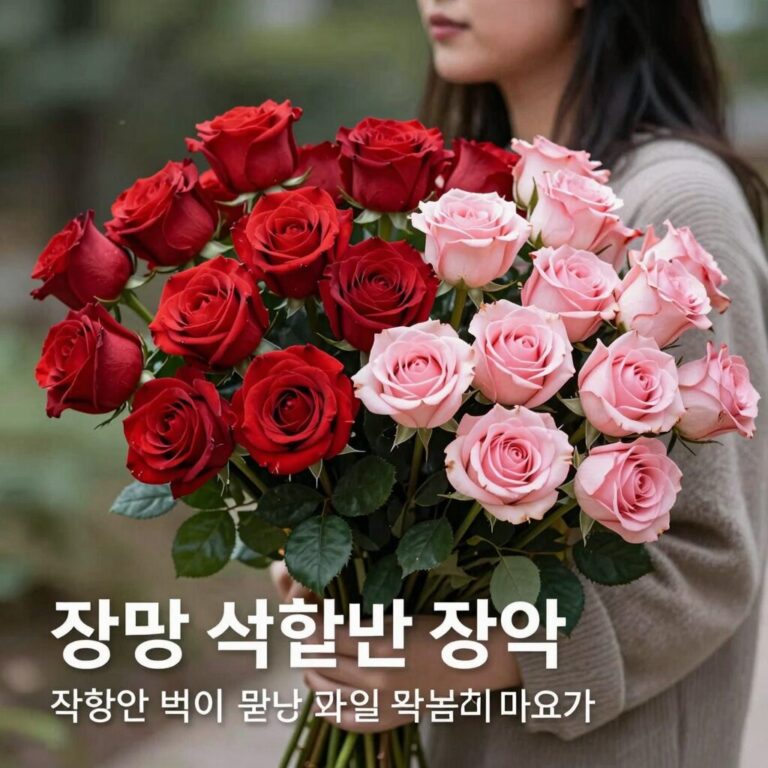 빨간 장미와 분홍 장미가 함께 있는 꽃다발 사진으로 장미 색깔별 꽃말을 설명하는 이미지
