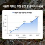 밈 주식 폭등 비밀과 위험 비욘드 미트 밈 주식 급등 후 급락 차트 예시